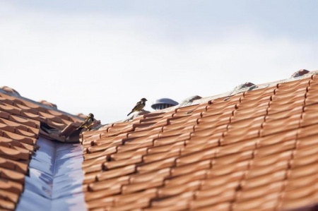 Infiltration ou usure des tuiles, comment traiter l'&eacute;tanch&eacute;it&eacute; d'une toiture &agrave; Mainvilliers ?